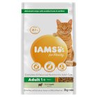 IAMS for Vitality Adult Cat  Food with Lamb