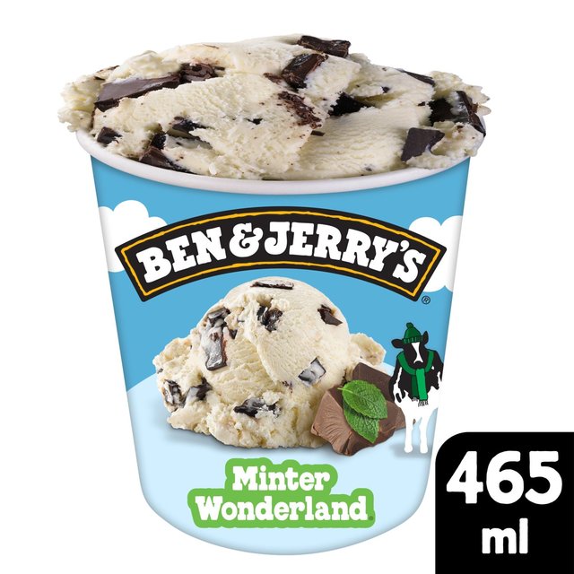 Ben & Jerry's Minter Wonderland Mint Ice Cream Tub