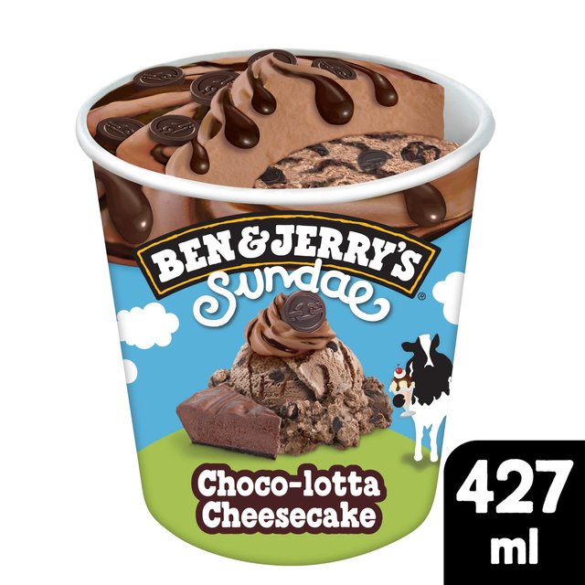 Ben & Jerry's Sundae Choco-lotta Cheesecake Ice Cream Tub  427ml