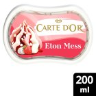 Carte D'Or Mini Indulgence Ice Cream Dessert Eton Mess 200 ml