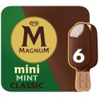 Magnum Mini Classic & Mint Chocolate Ice Cream Sticks 6x55ml