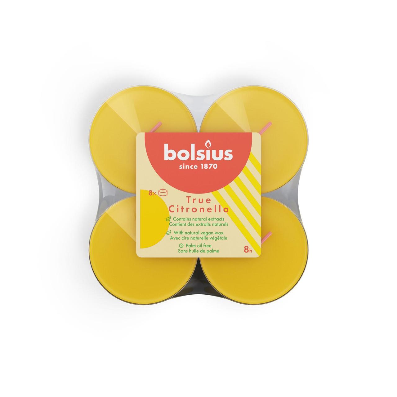 Bolsius Maxi Light Clear Cup Tea Lights - Citronella